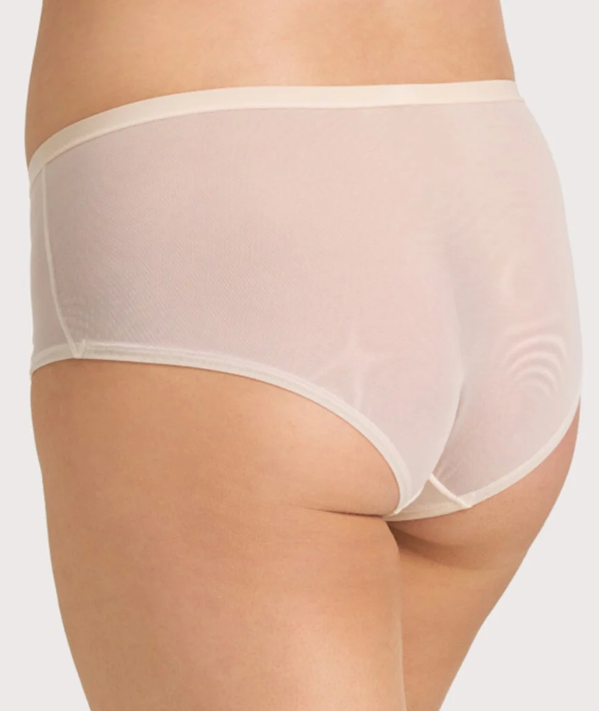 Ava & Audrey Lillian Embroidered Mesh Full Brief - Champagne - Image 4