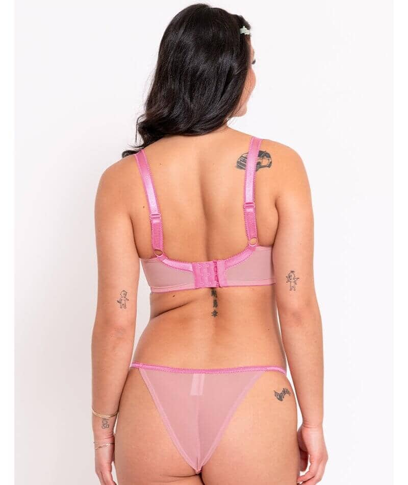 Curvy Kate Strawberry Crush Brazilian Brief - Pink Multi - Image 5