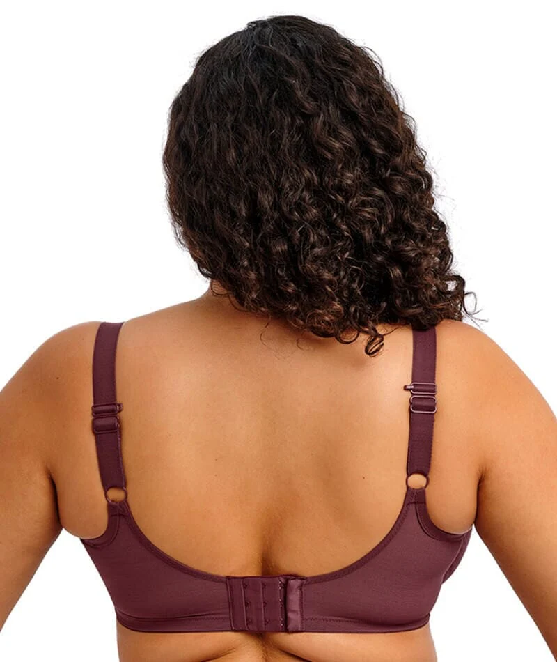Elomi Matilda Underwired Plunge Bra - Sugarplum - Image 4