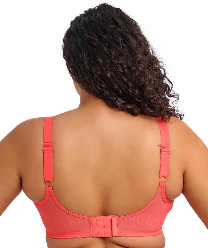 Elomi Matilda Underwired Plunge Bra - Sunset - Image 4