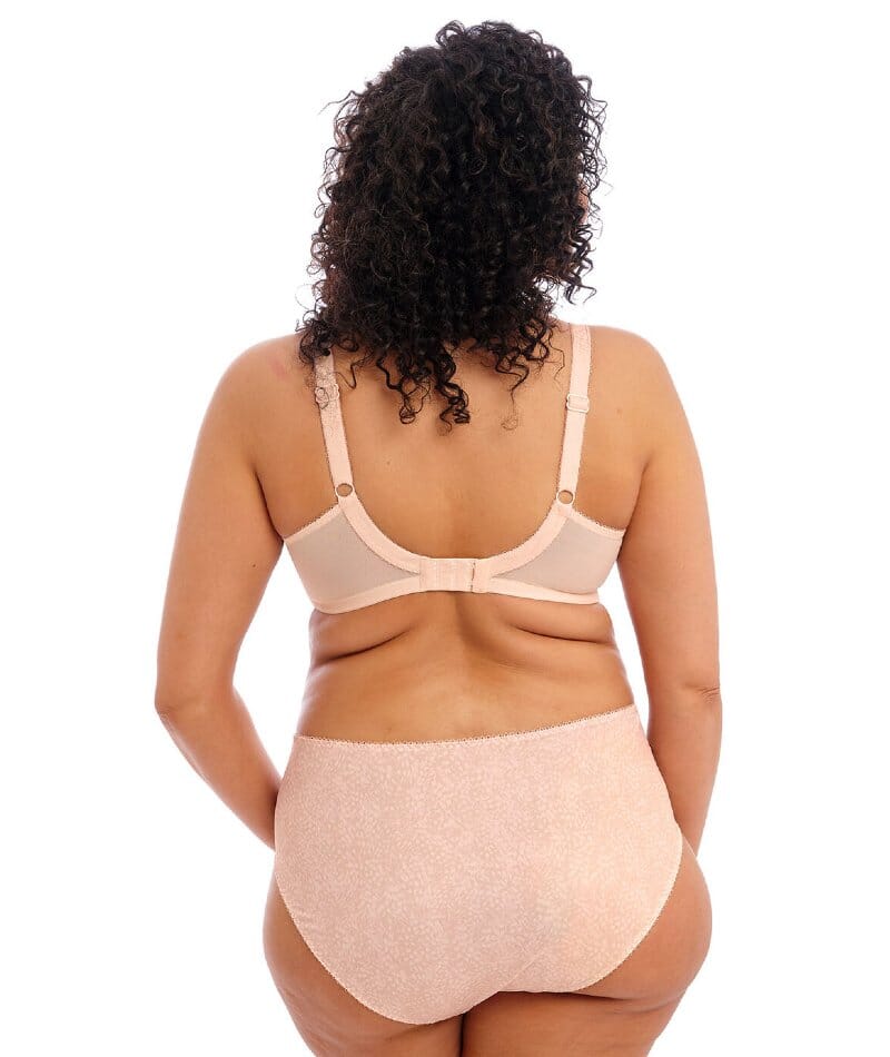 Elomi Morgan Full Brief - Cameo Rose - Image 7