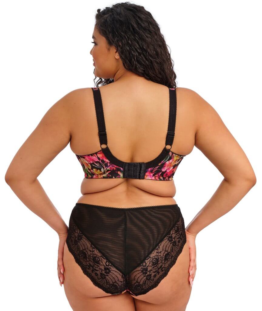 Elomi Morgan High Leg Brief - Hot House - Image 6