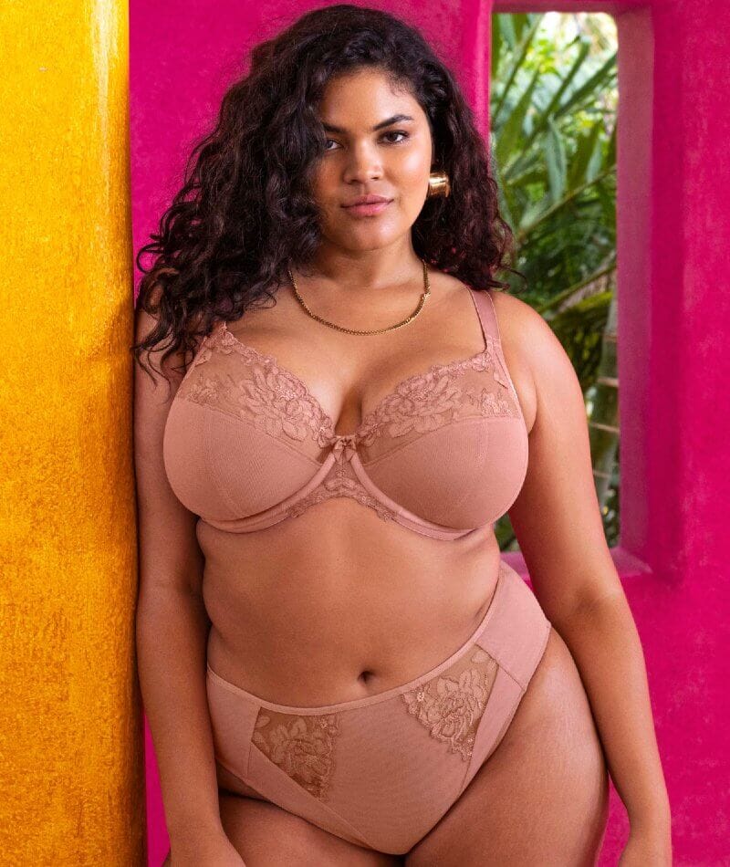 Elomi Teagan High Leg Brief - Ash Rose - Image 3