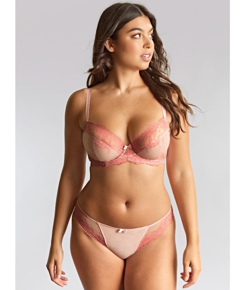 Panache Ana Underwired Plunge Bra - Pink - Image 6