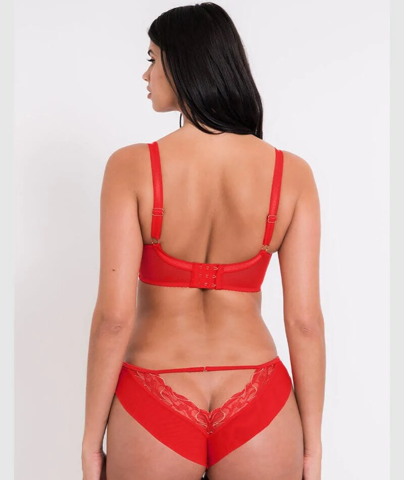 Scantilly Fascinate Plunge Bra - Poppy Red - Image 7