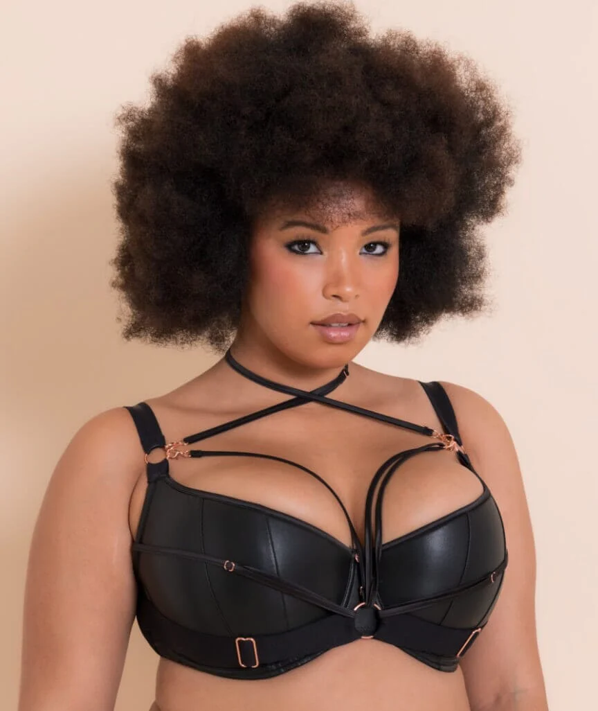 Scantilly Harnessed Padded Half Cup Bra - Black - Image 4