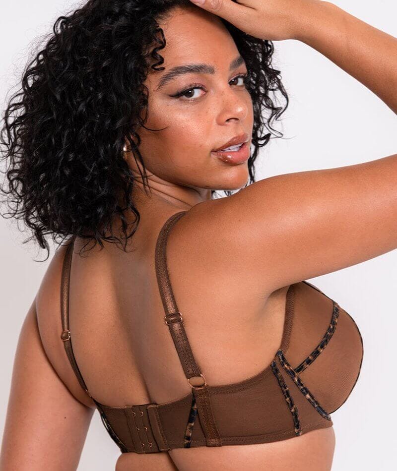 Scantilly Senses Plunge Bra - Leopard Brown - Image 3