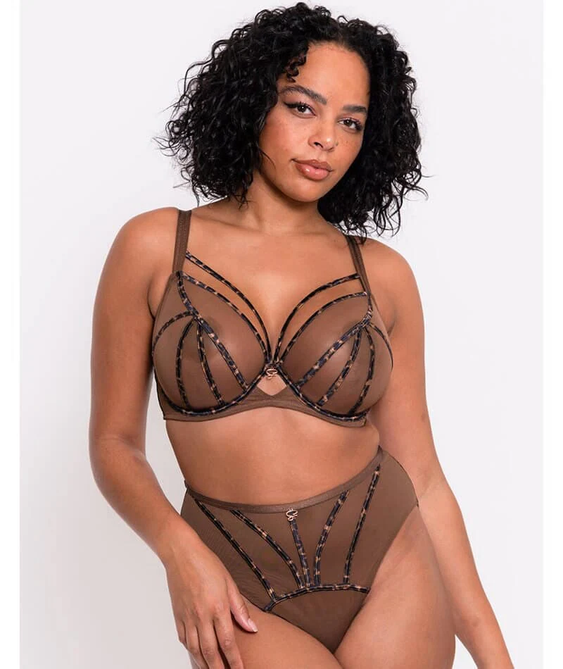 Scantilly Senses Plunge Bra - Leopard Brown - Image 4