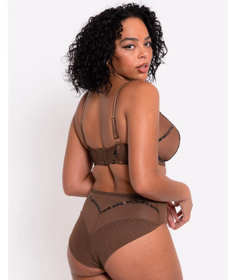 Scantilly Senses Plunge Bra - Leopard Brown - Image 5