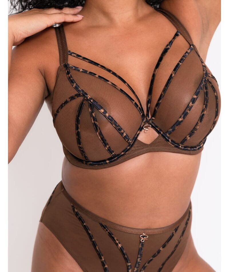 Scantilly Senses Plunge Bra - Leopard Brown - Image 6