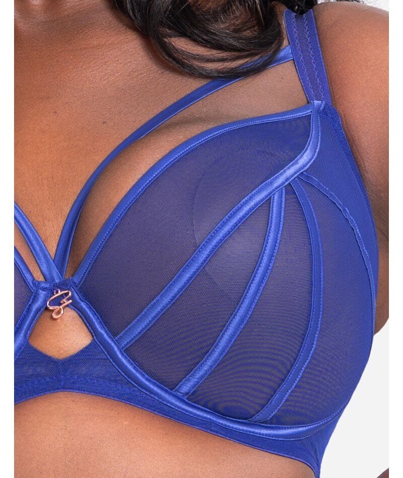 Scantilly Senses Plunge Bra - Ultraviolet - Image 11