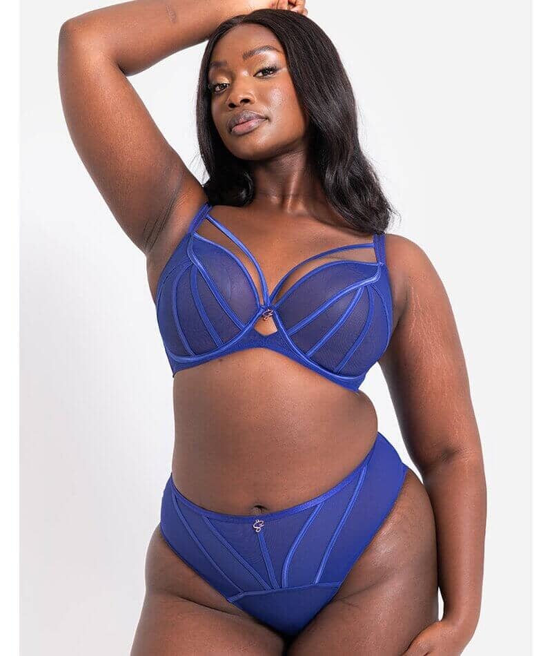 Scantilly Senses Plunge Bra - Ultraviolet - Image 6
