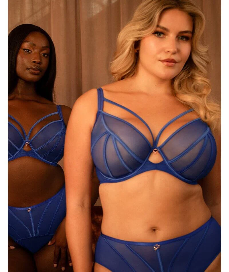 Scantilly Senses Plunge Bra - Ultraviolet - Image 7