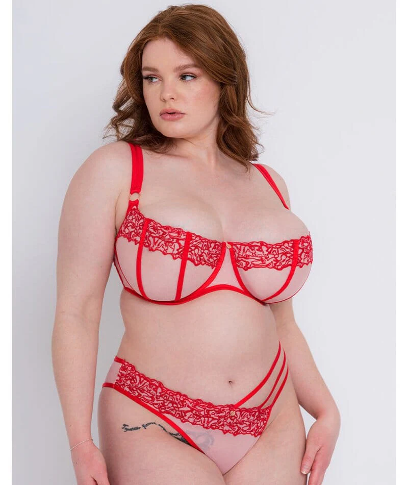 Scantilly Tantric Balcony Bra - Pink/Red - Image 5