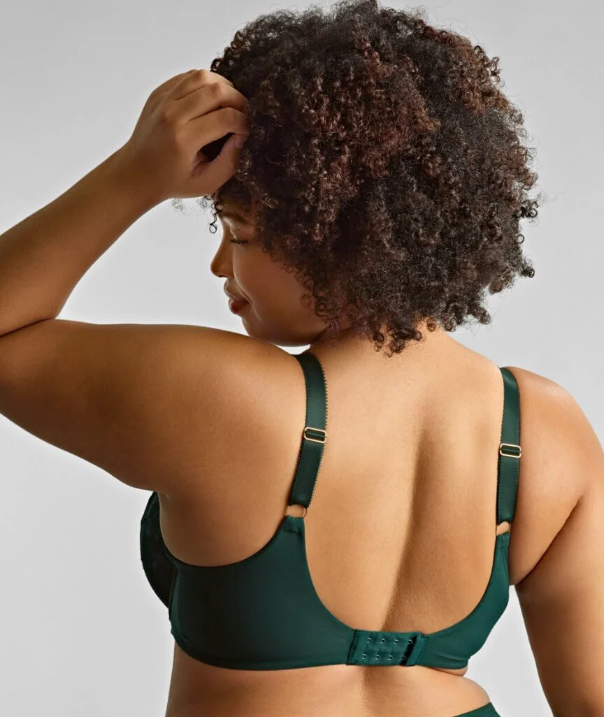 Sculptresse Josephine Full Cup Underwired Bra - Forest Green - Image 2