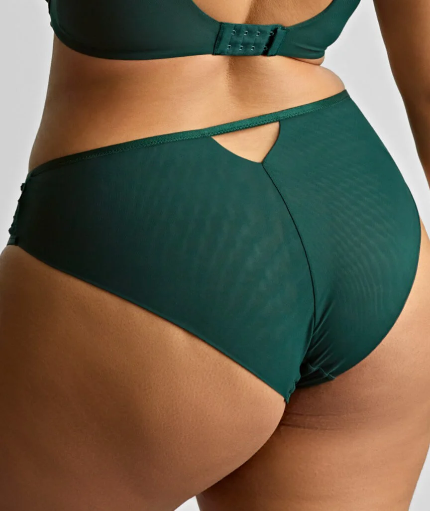 Sculptresse Josephine High Leg Brief - Forest Green - Image 2